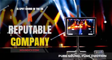 Exploring Spot Sound UK: A Comprehensive Review of Reputation and Services