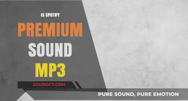 Spotify Premium vs. MP3: Which Offers Superior Sound Quality?