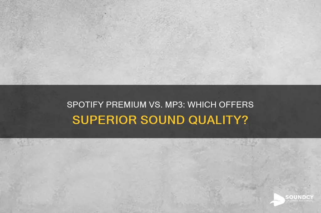 is spotify premium sound mp3