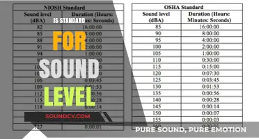 Understanding the Standard for Sound Level: A Comprehensive Guide