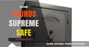 Is Steam Sounds Supreme Safe? A Comprehensive Review and Analysis