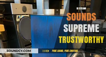 Is Steam Sounds Supreme Trustworthy? A Comprehensive Review and Analysis