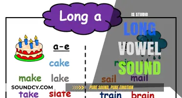 Mastering the Studio Long Vowel Sound: Tips and Techniques for Clear Pronunciation
