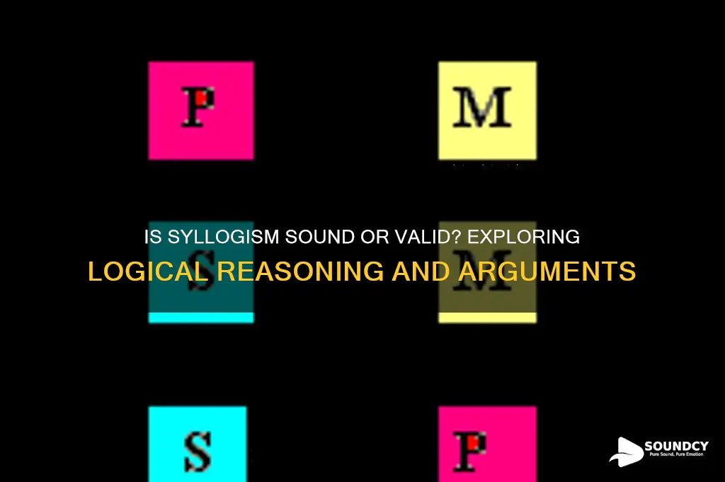 is syllogism sound or valid