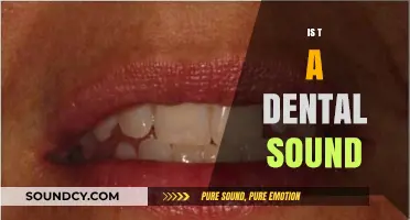 Is 'T' a Dental Sound? Exploring Articulation and Phonetics