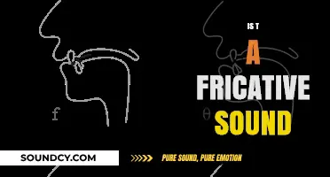 Is 'T' a Fricative Sound? Exploring English Consonants and Their Types