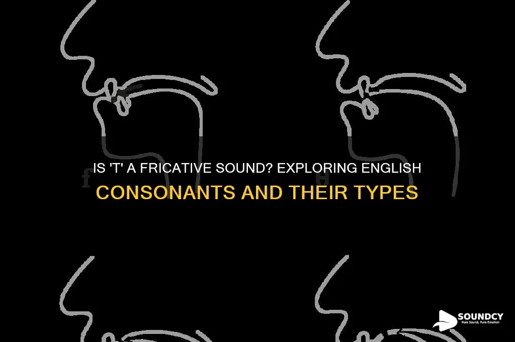 is t a fricative sound