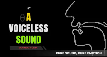 Is the Letter T a Voiceless Sound? Exploring Phonetics and Articulation