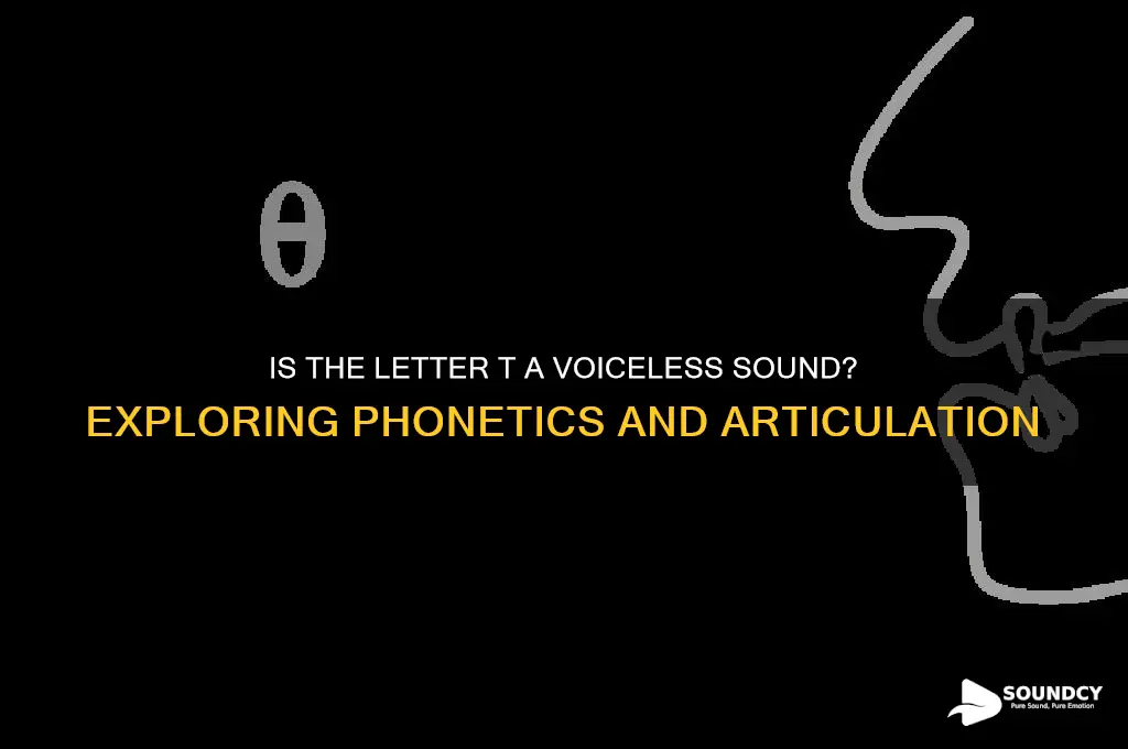 is t a voiceless sound