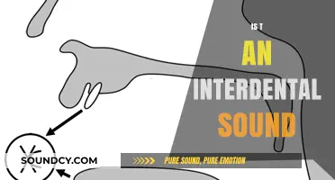 Is the 't' Sound Interdental? Exploring English Phonetics and Articulation