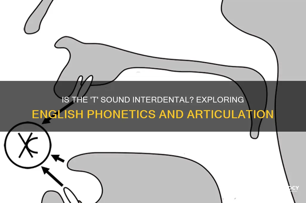 is t an interdental sound