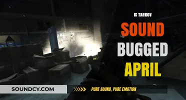 Escape from Tarkov Sound Issues: April Bug Reports and Fixes