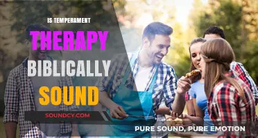 Is Temperament Therapy Aligned with Biblical Principles and Teachings?
