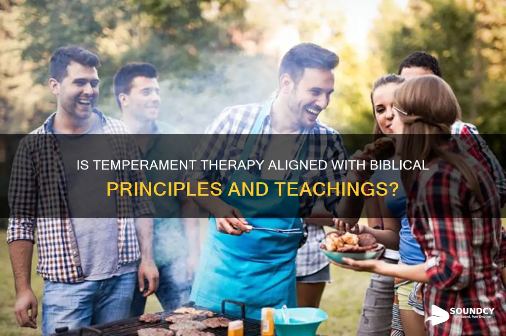 is temperament therapy biblically sound