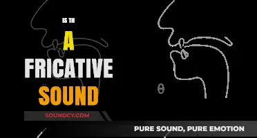 Is 'th' a Fricative Sound? Exploring English Consonants and Their Types