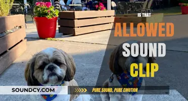 Is That Allowed Sound Clip: Legal and Ethical Usage Explained