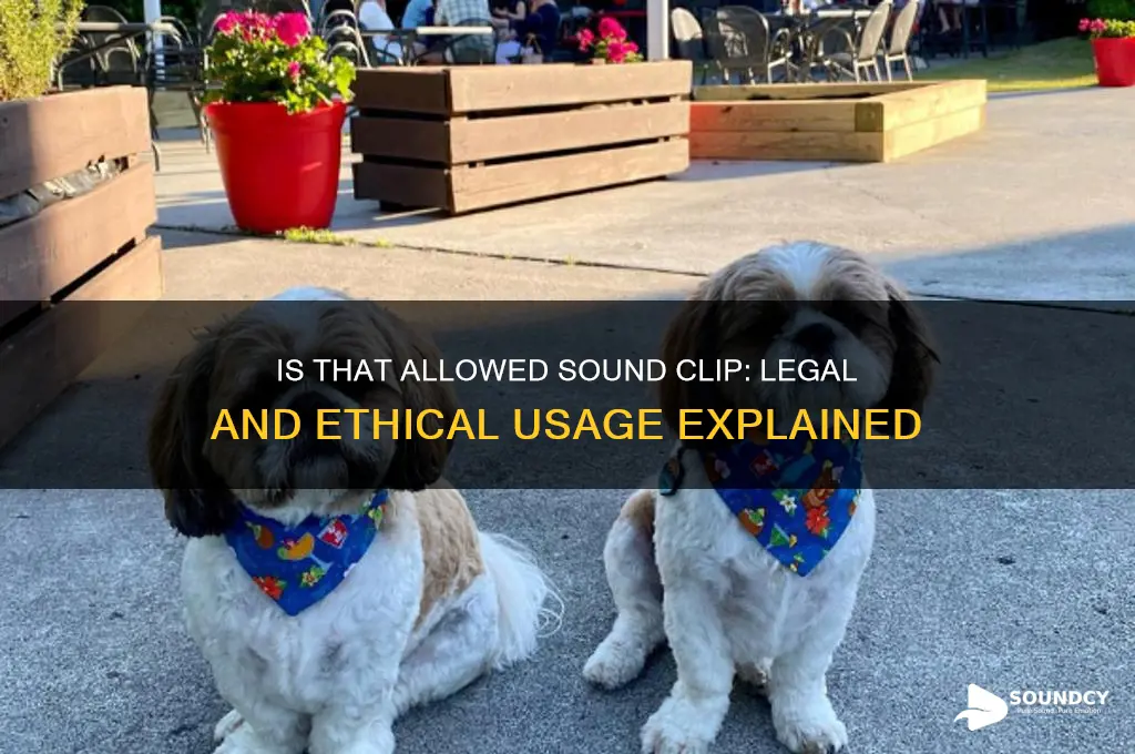 is that allowed sound clip