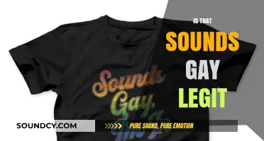 Is 'That Sounds Gay' Legit? Exploring the Phrase's Meaning and Impact