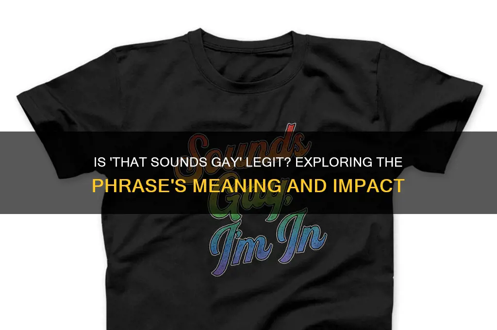is that sounds gay legit