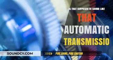 Decoding the Odd Noises: Is Your Automatic Transmission Failing?