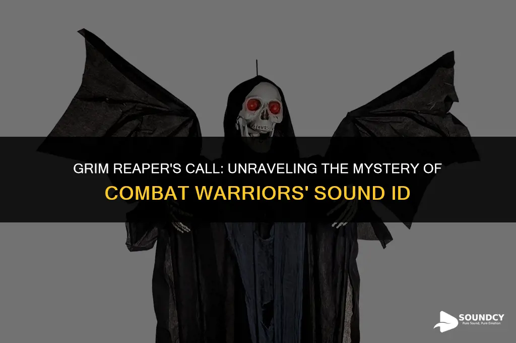 is that the grim reaper sound id combat warriors