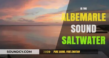 Is Albemarle Sound Saltwater? Exploring Its Unique Aquatic Characteristics