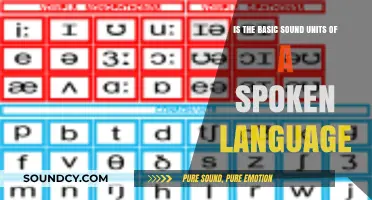 Exploring Phonemes: The Building Blocks of Spoken Language