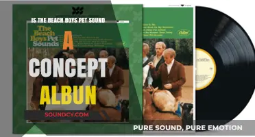 Exploring the Lyrical Depths: Is Pet Sounds a Concept Album?