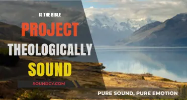 Exploring the Bible Project: Theologically Sound?