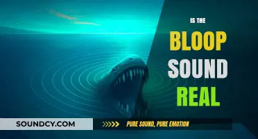 Unraveling the Mystery: Is the Bloop Sound a Real Phenomenon?