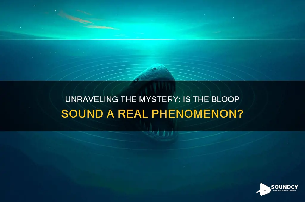 is the bloop sound real