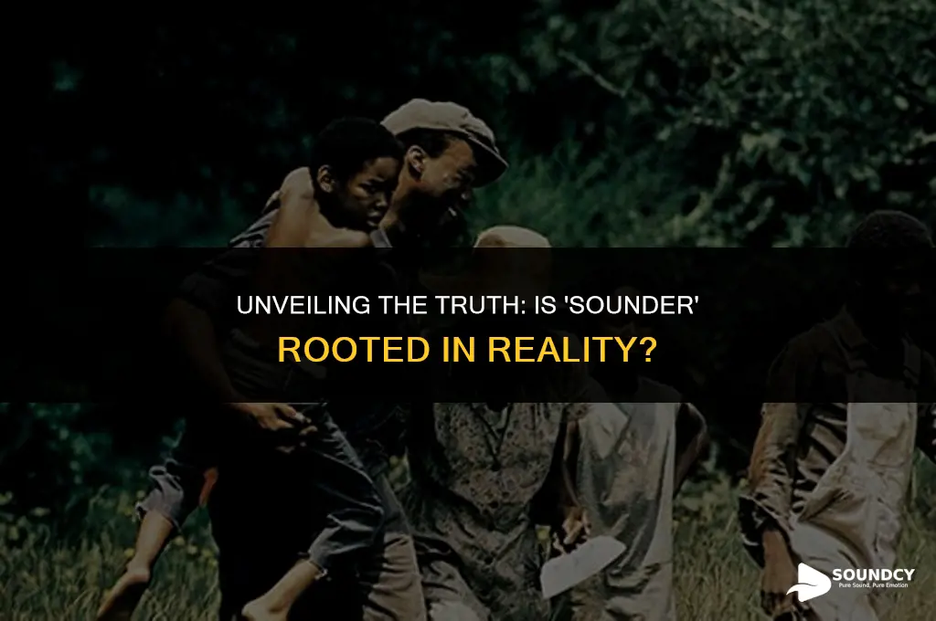 is the book sounder based on a true story