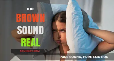 Is the Brown Sound Real? Unraveling the Myth and Science Behind It
