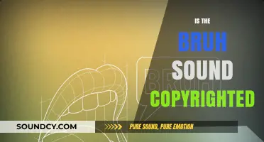 Is the Bruh Sound Copyrighted? Legal Insights and Usage Rights