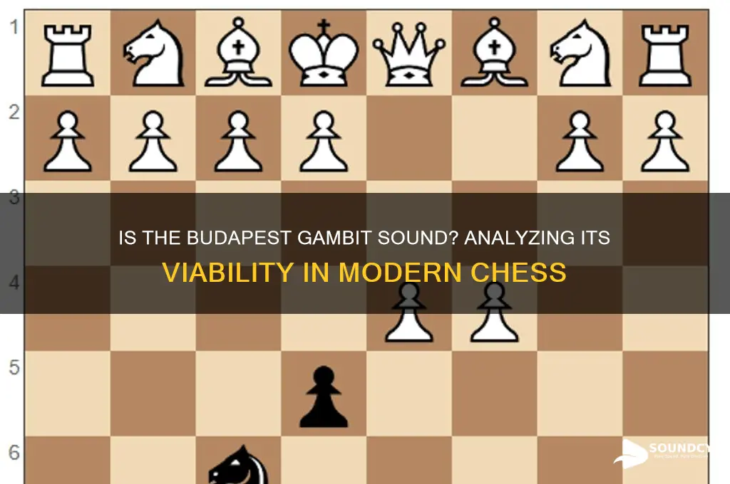 is the budapest gambit sound