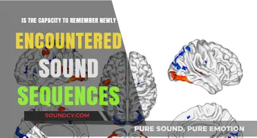 Exploring the Brain's Ability to Recall New Sound Patterns
