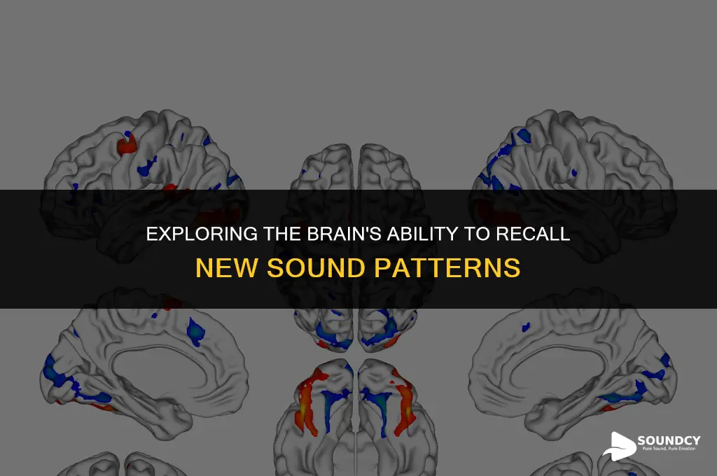 is the capacity to remember newly encountered sound sequences