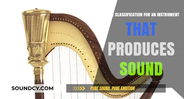 Exploring Sound-Producing Instruments: Classification and Musical Roles