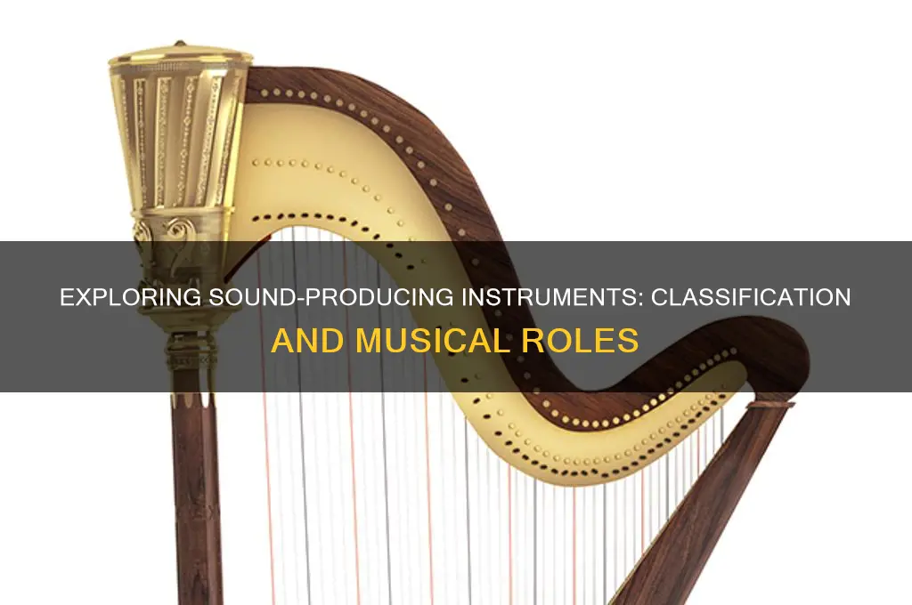 is the classification for an instrument that produces sound