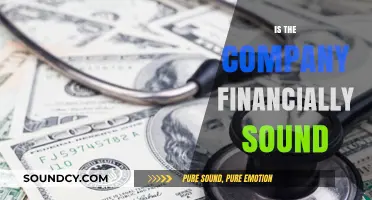 Assessing Financial Health: Is Your Company on Solid Ground?