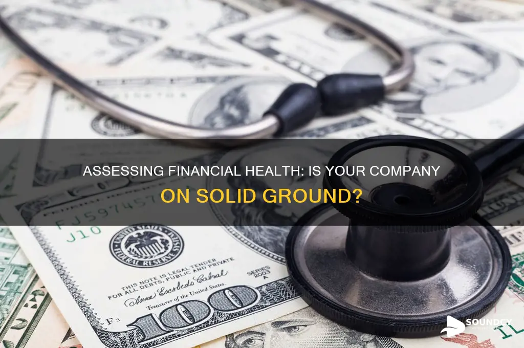 is the company financially sound