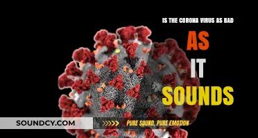Unraveling the Truth: Is the Coronavirus as Dire as It Seems?