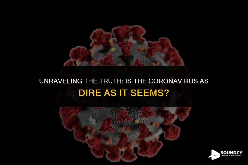 is the corona virus as bad as it sounds