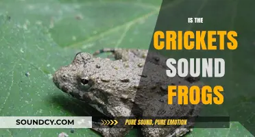 Cricket Chirps vs. Frog Croaks: Unraveling Nature's Distinct Sounds
