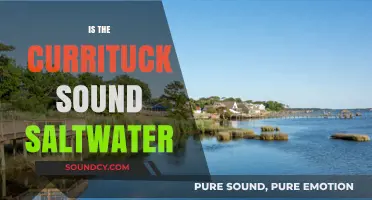 Is Currituck Sound Saltwater? Exploring Its Unique Brackish Waters