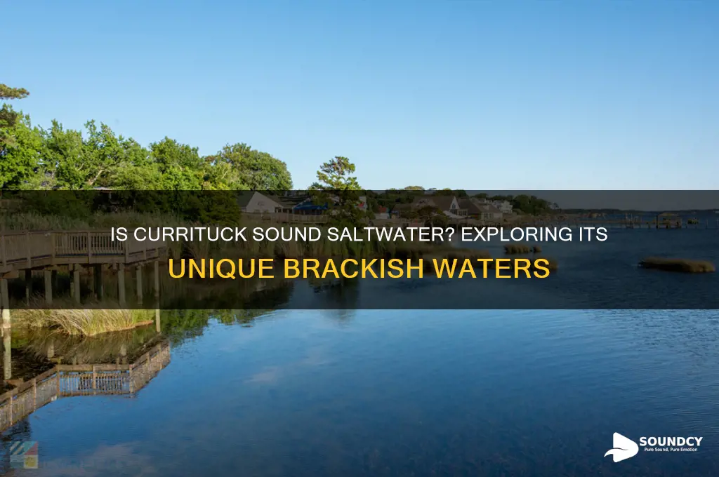 is the currituck sound saltwater