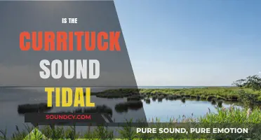 Is Currituck Sound Tidal? Exploring Its Unique Water Dynamics