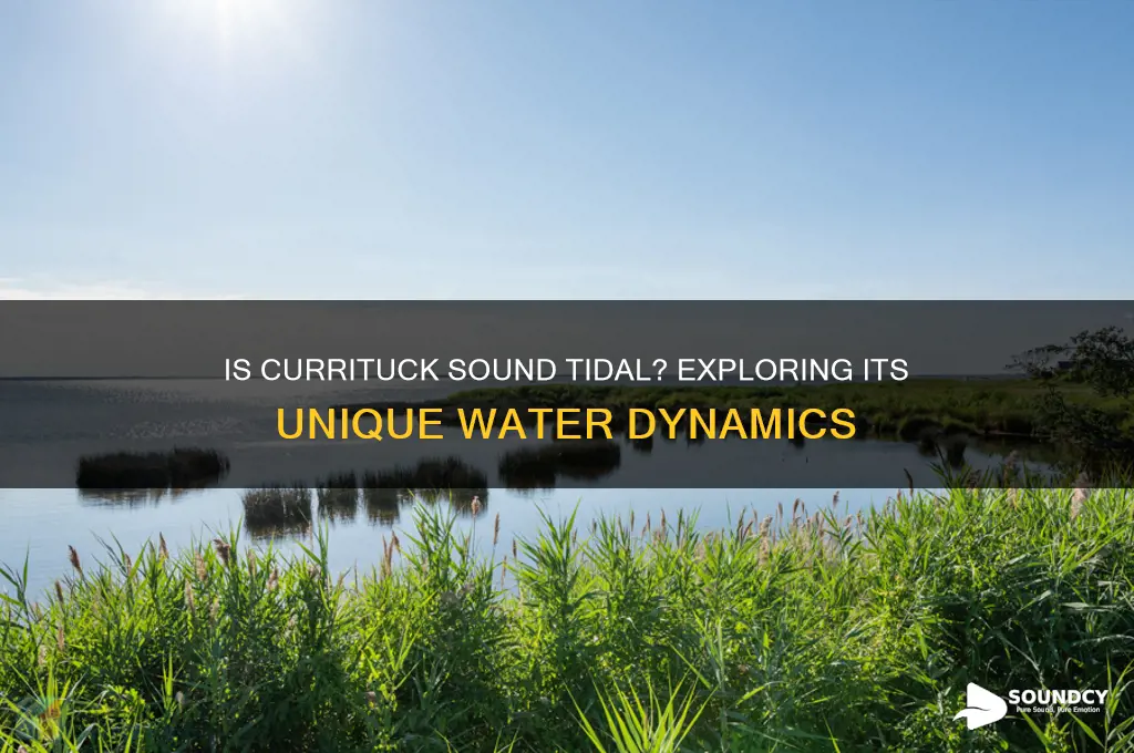 is the currituck sound tidal
