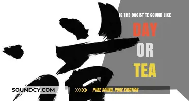 Exploring the Pronunciation of 'Daoist Te': Day or Tea?