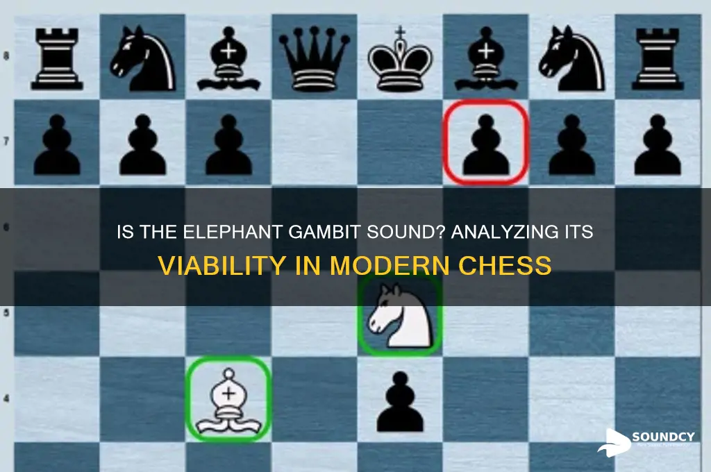 is the elephant gambit sound